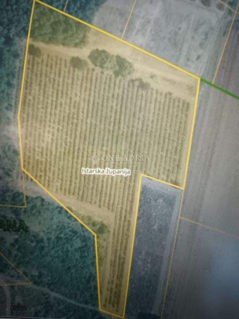 Porec Industrieflächen, Lagerflächen, Produktionshalle, Serviceflächen