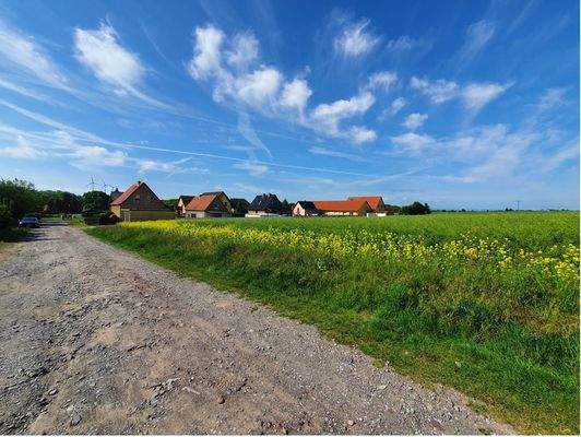 Grundstuck_Blick_in Richtung HsNr. 2.JPG