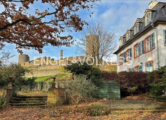 Parkblick auf die Münzenburg