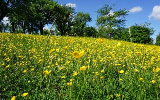 Tapachtal im Frühjahr