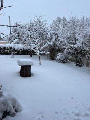 Ihr Garten im Winter