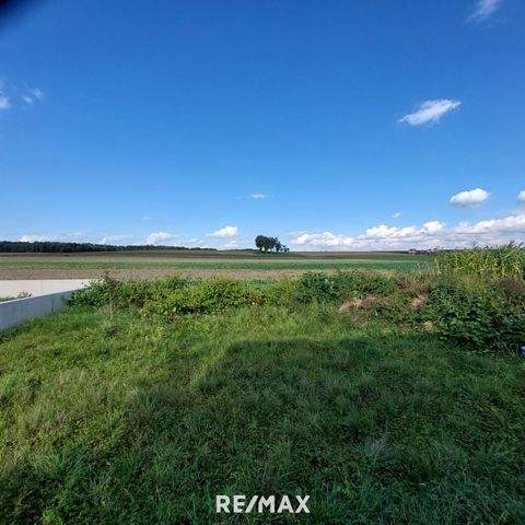 Strem Häuser, Strem Haus kaufen