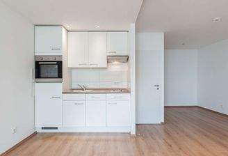 Schwanenquartier_Evertsstr_3_1