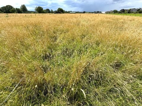 Swisttal Bauernhöfe, Landwirtschaft, Swisttal Forstwirtschaft