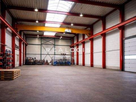 Wernau (Neckar) Halle, Wernau (Neckar) Hallenfläche