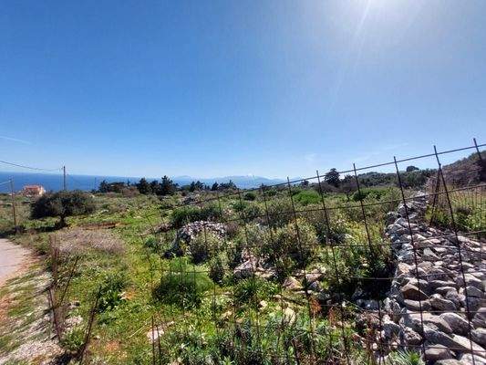 WhatsApp Image 2024-03-12 at 14.15.51_de1997f7.jpg