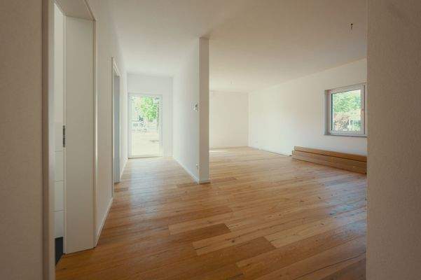 Wohn- / Essen- / Küchenbereich 