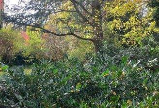 Wohnen umgeben von Natur