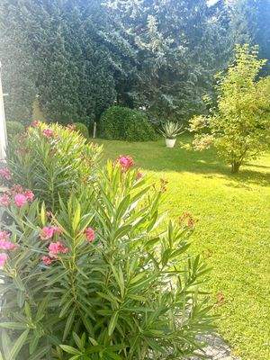 parkähnlicher Graten 3