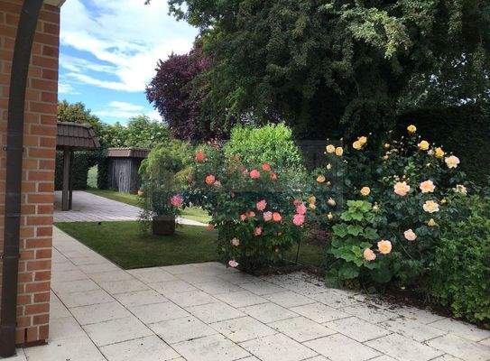 Garten hinter dem Haus