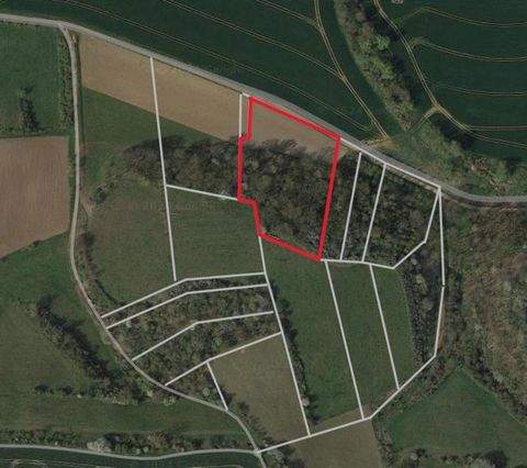 Bennungen Bauernhöfe, Landwirtschaft, Bennungen Forstwirtschaft