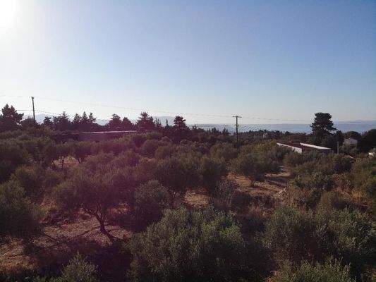 Kreta, Xirosterni: Grundstück in ruhiger Lage mit Berg- und Meerblick zu verkaufen