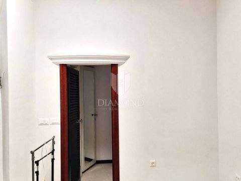 Luka Büros, Büroräume, Büroflächen 