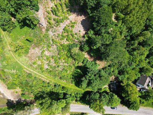 Ansicht vom gesamten Grundstück 