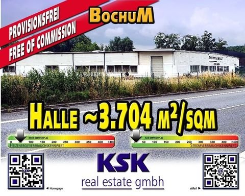 Bochum Halle, Bochum Hallenfläche