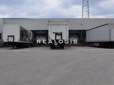 Freiburg im Breisgau Halle, Freiburg im Breisgau Hallenfläche