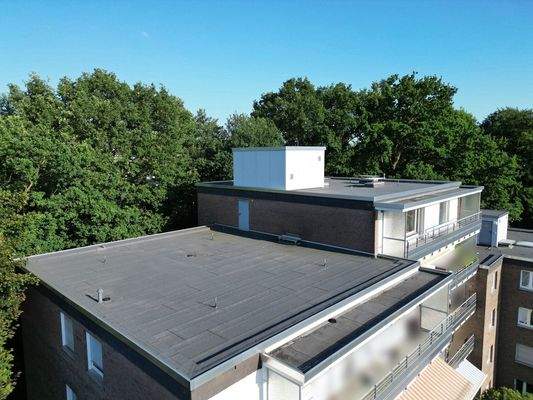 Alleinige Nutzung der Dachterrasse