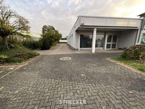 Heidelberg Ladenlokale, Ladenflächen 