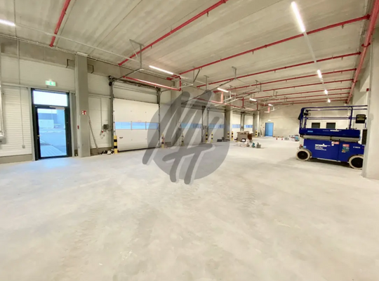 INFOS UNTER: 06171-586000