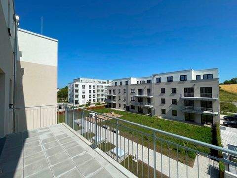 Müllheim Wohnungen, Müllheim Wohnung mieten