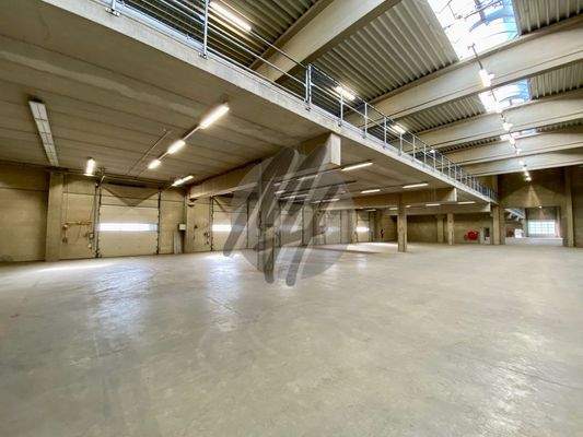 INFOS UNTER: 06171-586000