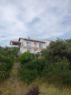 Idyllisches Leben auf der Insel Šolta