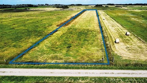 Sylt Bauernhöfe, Landwirtschaft, Sylt Forstwirtschaft