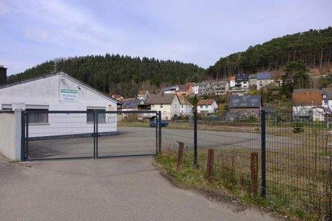 Rodalben Industrieflächen, Lagerflächen, Produktionshalle, Serviceflächen