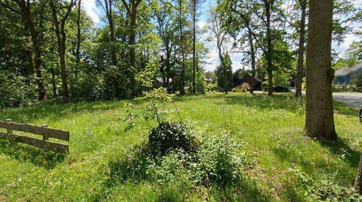 Eigentumsgrundstück am Spreewaldsee