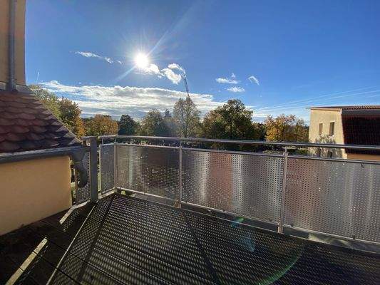 Ein Blick ins Grüne