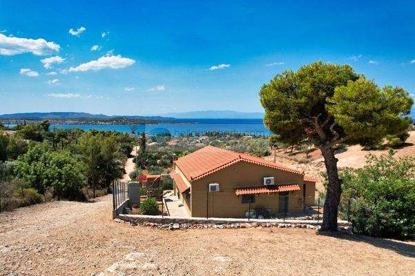 img_96024dbc-e23e-4d7d-80ec-fb422c6bd237