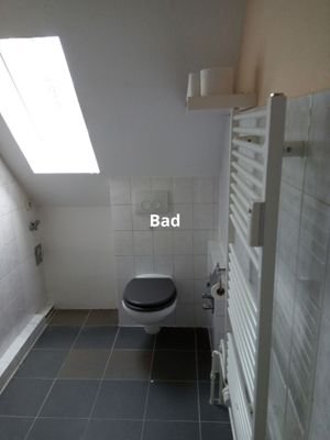Bad WC.jpg