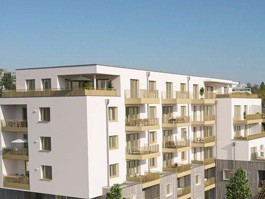 Die Penthäuser im BAYER - Einfach schön!