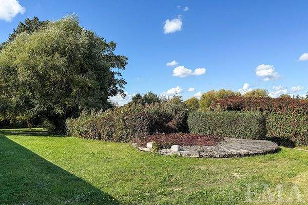 Grünfläche hinter dem Wohnhaus