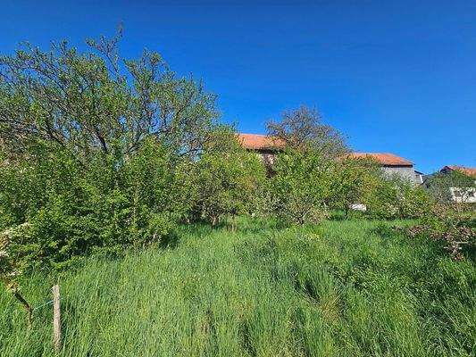 Grundstück mit Bestandsimmobilie