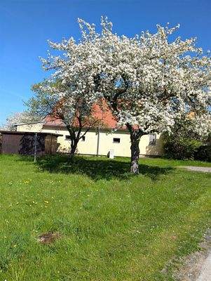 PXL_20250427_125452192