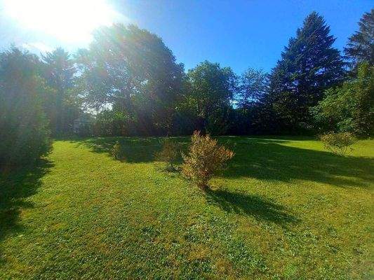 weitläufiger Garten.jpg