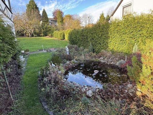 Grundstück mit Teich