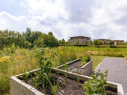 Gartenbereich 