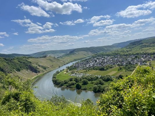 Blick auf Pünderich