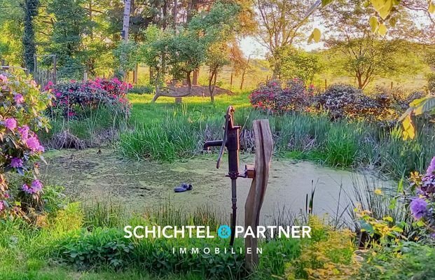 S&P | Teich