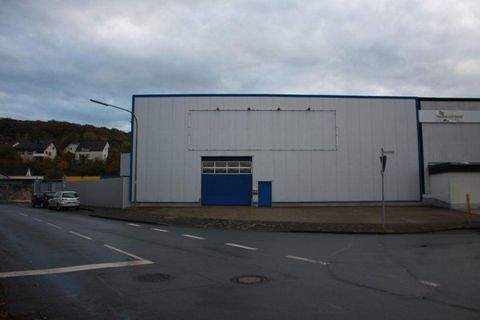 Arnsberg Halle, Arnsberg Hallenfläche