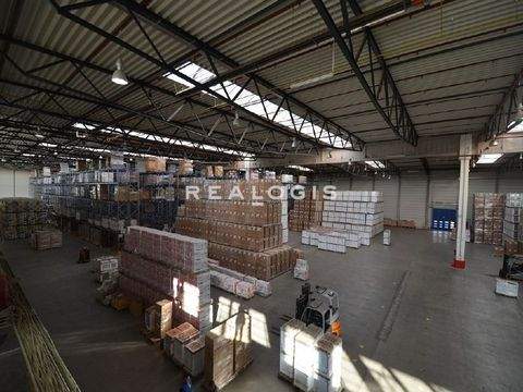 Hamburg Halle, Hamburg Hallenfläche