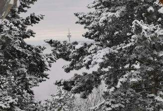 Wohnen, wo der Urlaub beginnt: