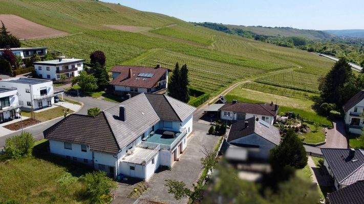 Westansicht mit Weinbergen und Radweg