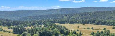 Dobel Häuser, Dobel Haus kaufen