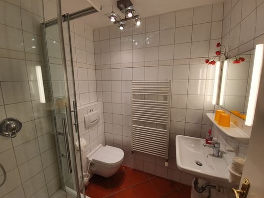 2 Zi. Appartement im EG-Badezimmer.jpeg