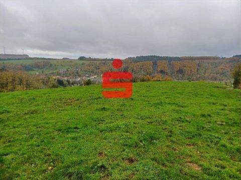 Mettendorf Bauernhöfe, Landwirtschaft, Mettendorf Forstwirtschaft