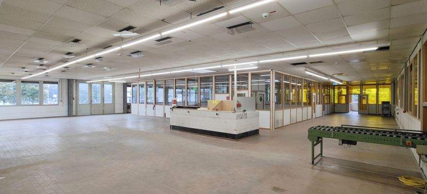 OG_Produktionsflächen_Blick_12