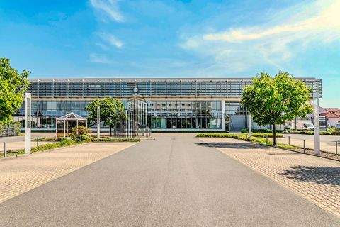 Schwetzingen Büros, Büroräume, Büroflächen 